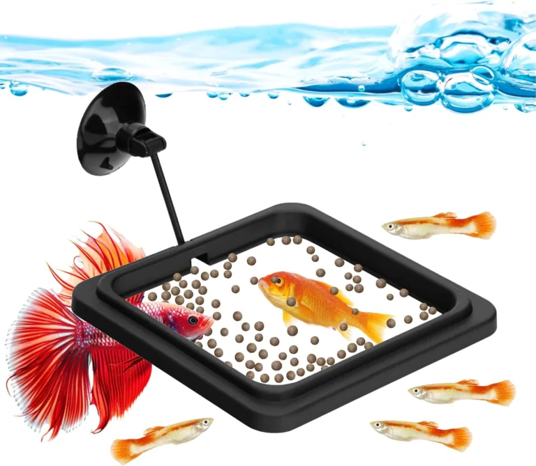 DaToo Fish Feeding Ring review_best_review_1750675587