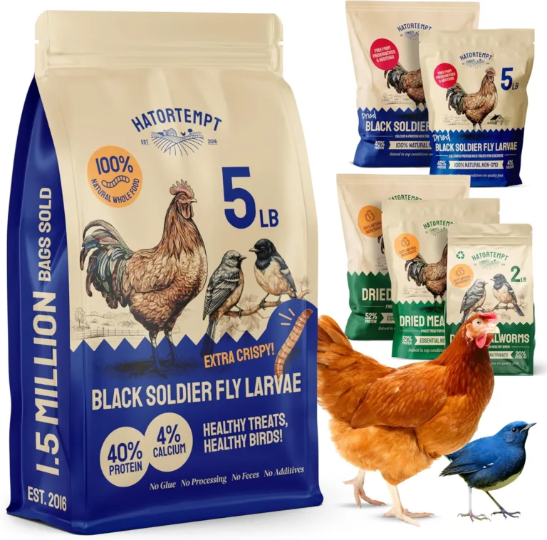 Organic Black Soldier Fly Larvae for Chickens_best_review_1750955074