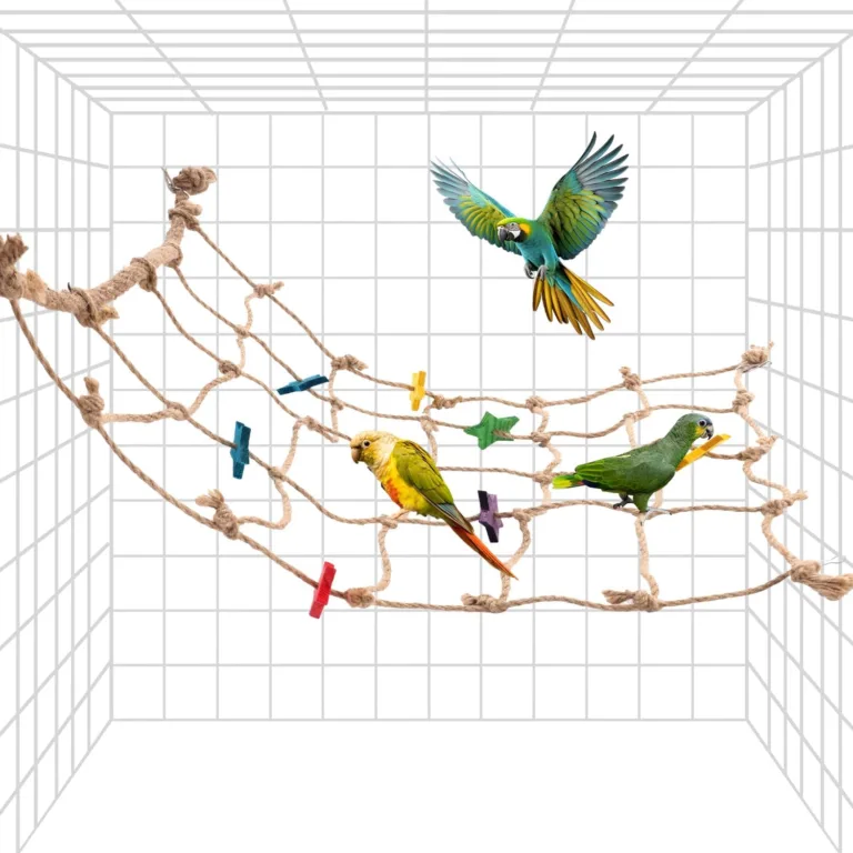 Parrot Climbing Rope Net_best_review_1750623222