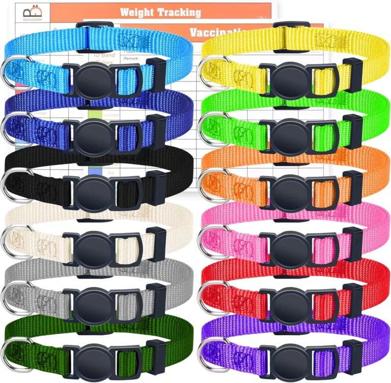adjustable puppy collars for identification_best_review_1750528706