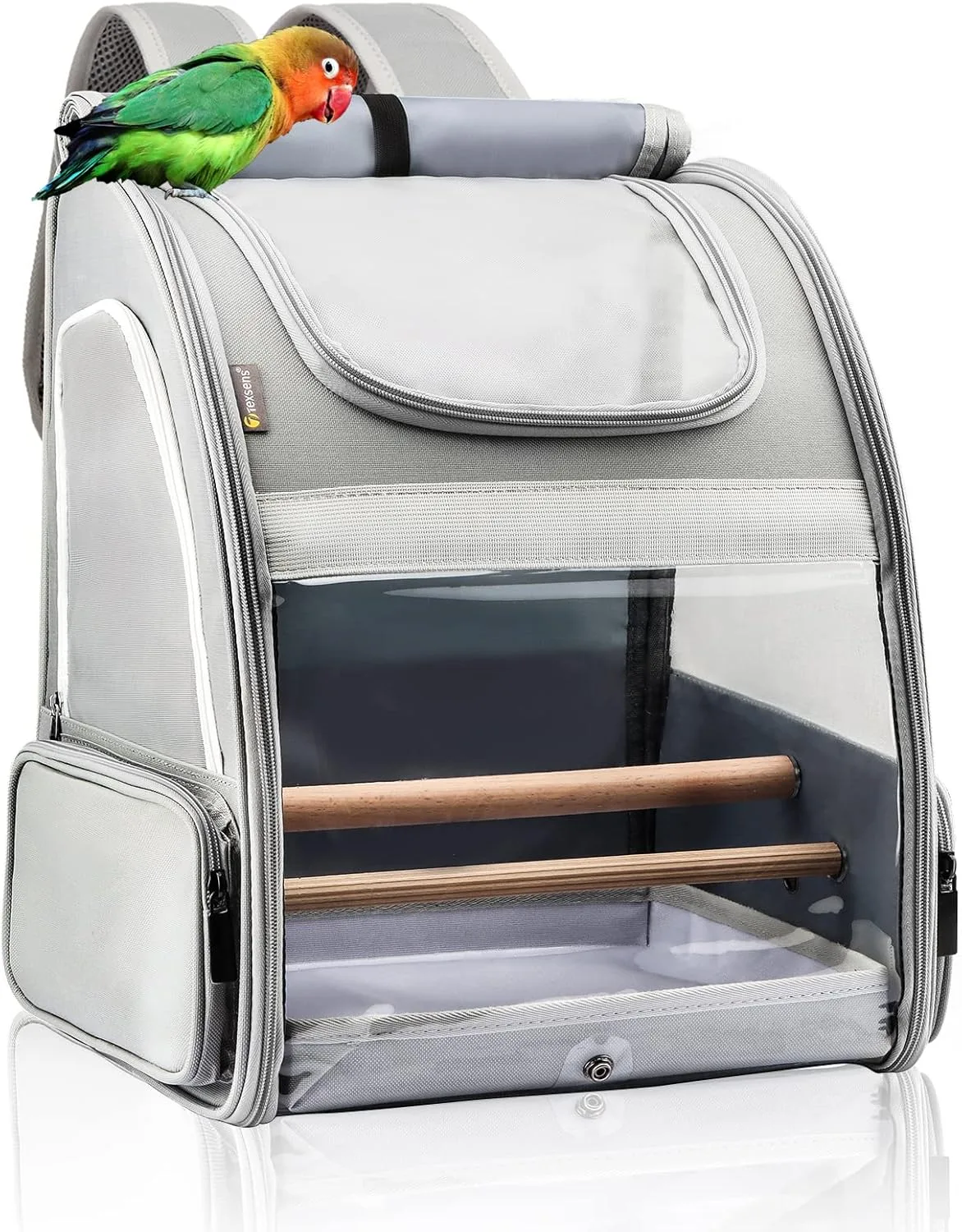bird carrier backpack for travel_best_review_1750653444