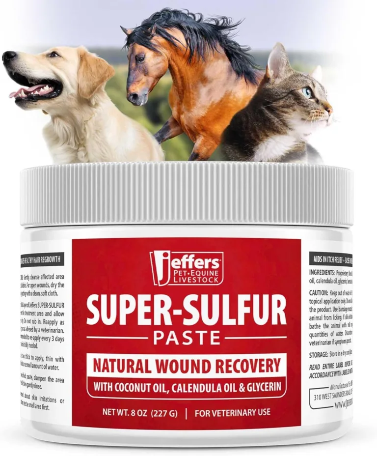 natural animal skin and wound care solution_best_review_1750664241