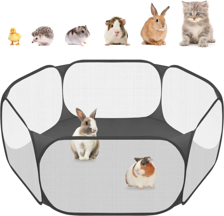 portable pet playpen for small animals_best_review_1750729551