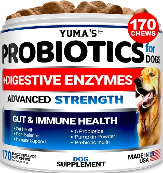 probiotics for dogs with digestive enzymes_best_review_1750722633