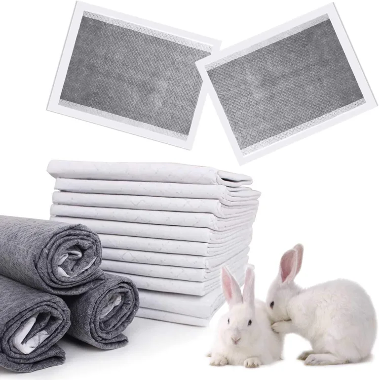 rabbit pee pads for odor control_best_review_1750513584