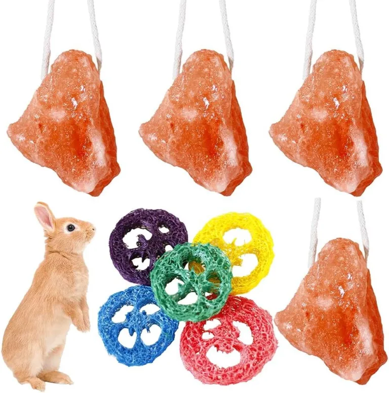 rabbit salt lick and loofah chew toys_best_review_1750645894