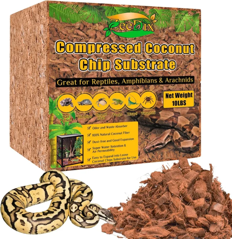 reptile bedding coconut fiber_best_review_1750536263