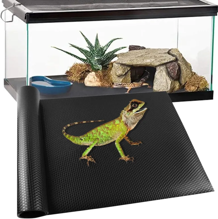 reptile carpet comfort and safety_best_review_1750581622