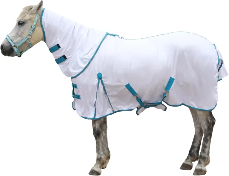 Horse fly sheet for summer comfort_best_review_1751679285