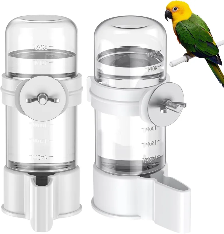 automatic bird water dispenser_best_review_1753234208