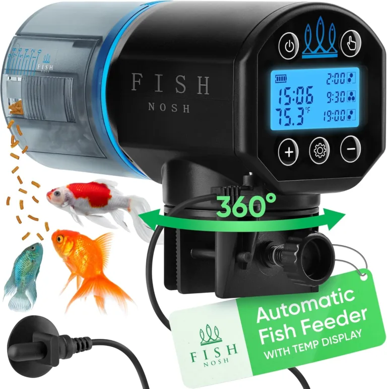 automatic fish feeder for aquarium with thermometer_best_review_1752978643