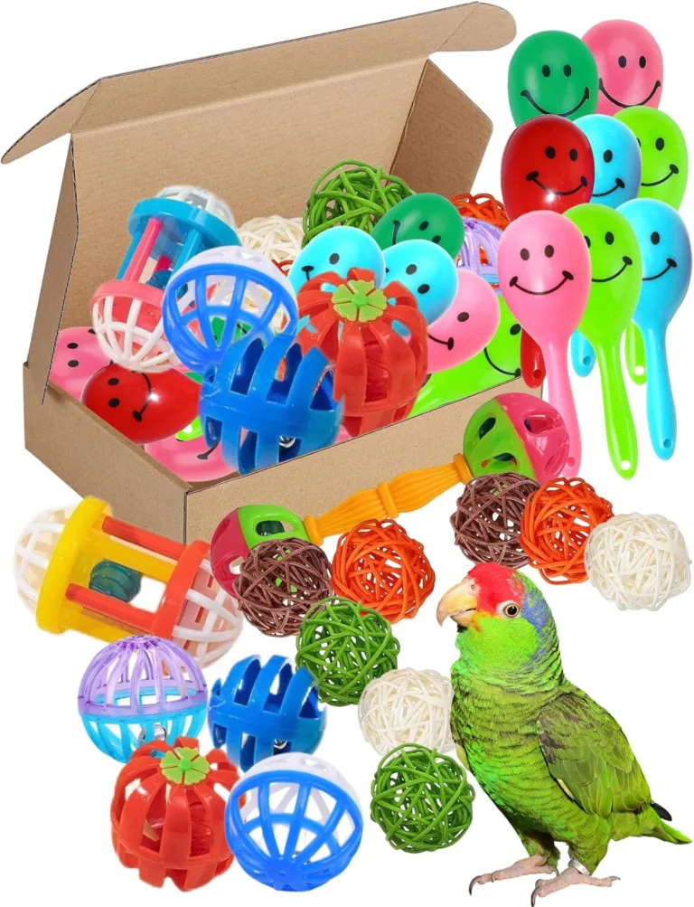 bird toys for parakeets_best_review_1751934868