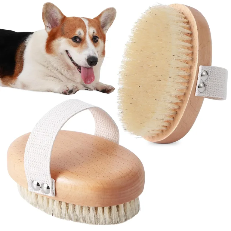 boar bristle pet brush for short haired cats_best_review_1751551469