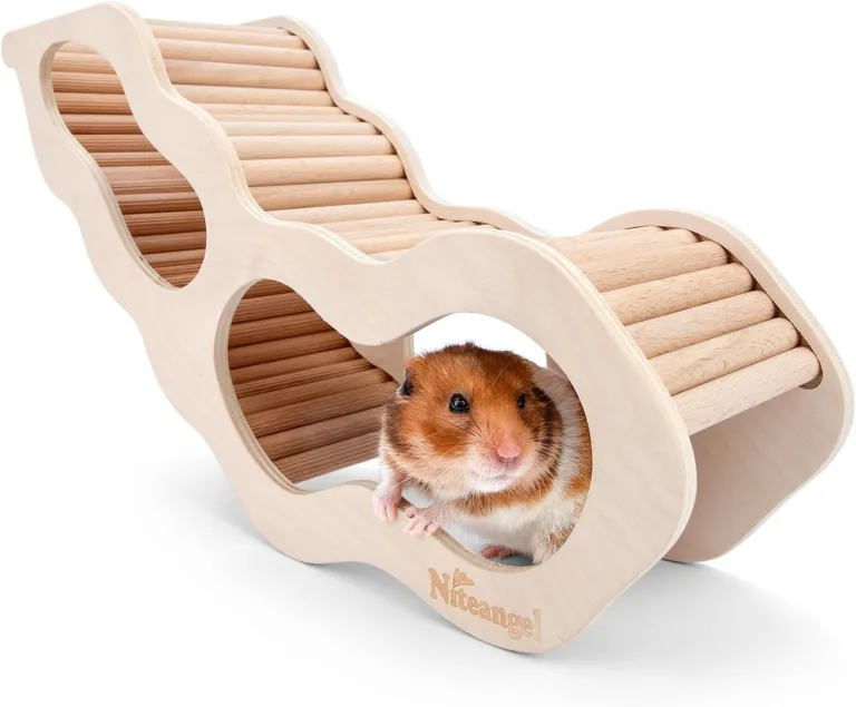 hamster house with climbing ladder_best_review_1753660168