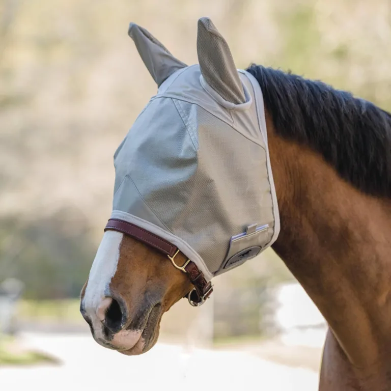 horse fly mask with UV protection_best_review_1751636706