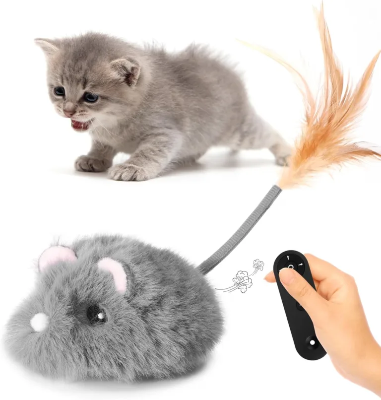 interactive cat toy for indoor cats_best_review_1753021173