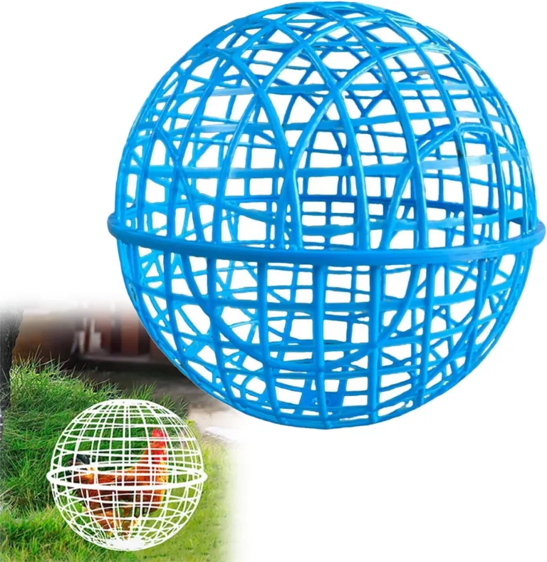 mobile pet enclosure for chicks_best_review_1753170315
