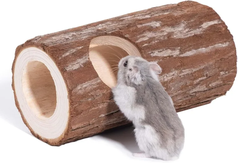 natural wooden hamster tunnel for enrichment_best_review_1752723402