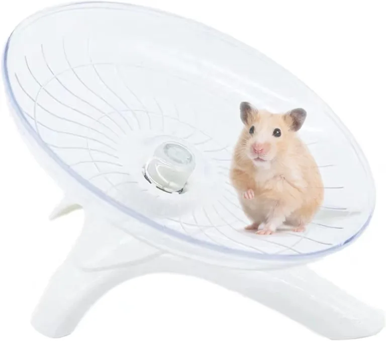 silent hamster wheel_best_review_1753489814