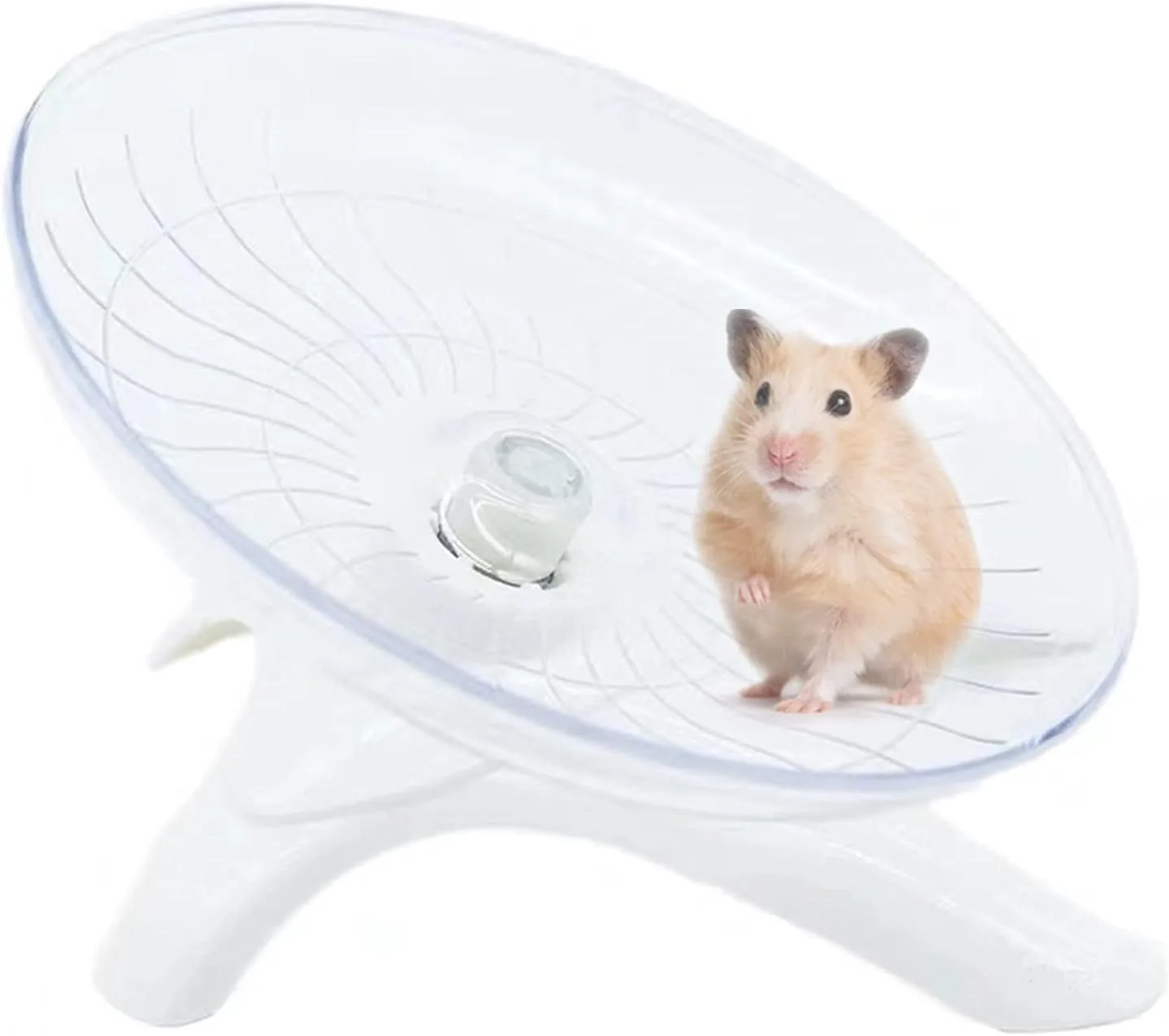 silent hamster wheel_best_review_1753489814