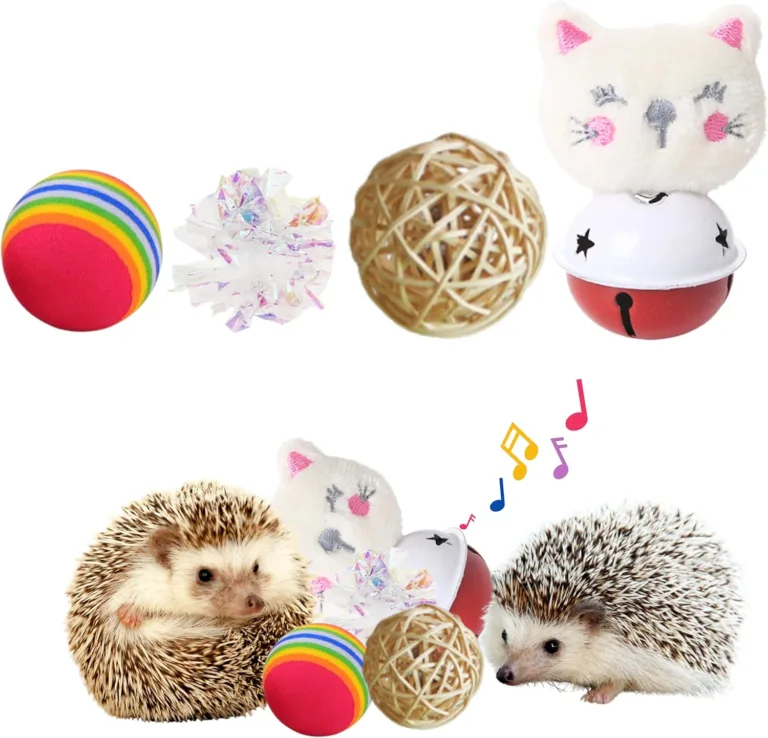 small animal enrichment toys for hedgehogs_best_review_1753106425